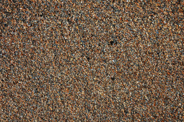 coast of shells