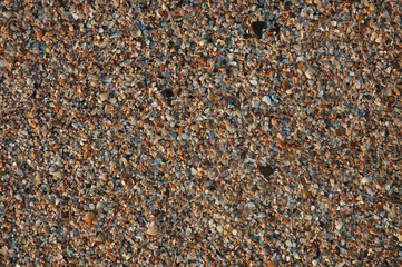 cockle-shell beach