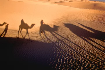 Schatten der Karavane