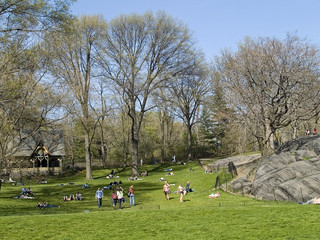 Obraz premium nice afternoon