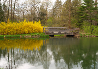 the buck garden in new jersay