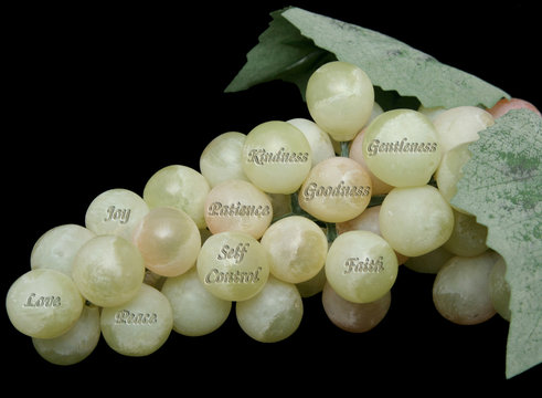 fruits of the spirit