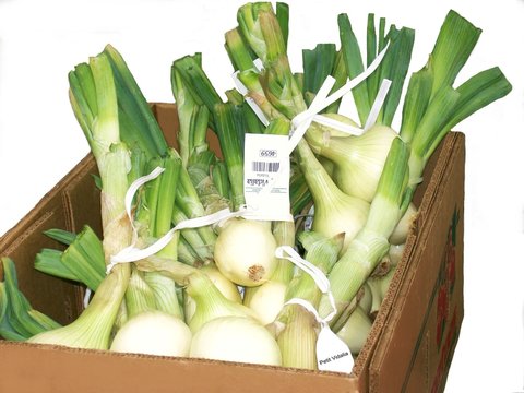 Petit Vidalia Onions