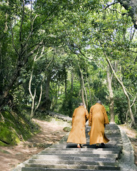 two buddhist monks on stone stairway