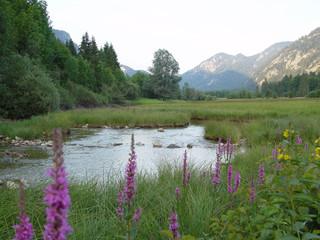 landschaft