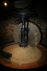 presse &agrave; huile de noix