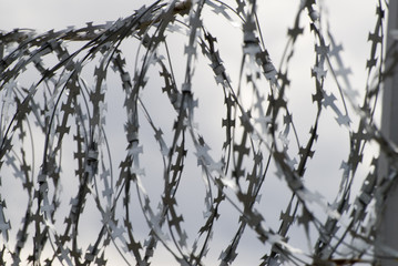 barbed wire