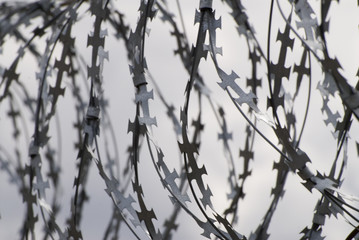 barbed wire