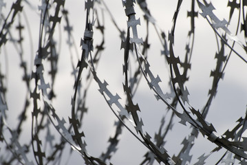 barbed wire