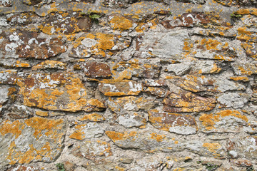 an old stone country wall, covered in lichen.