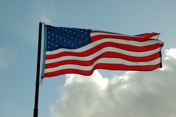 Obraz premium american flag