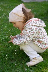 picking daisies