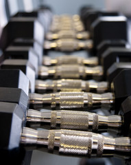 Naklejka premium dumbbells at a gym
