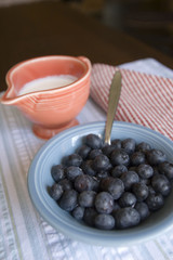 bowl of blueberries