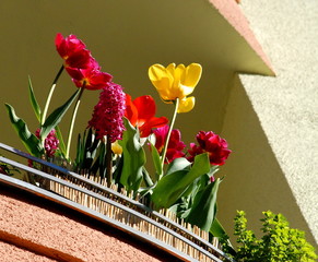 balkon 2