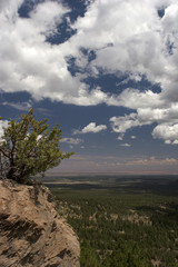 valley view