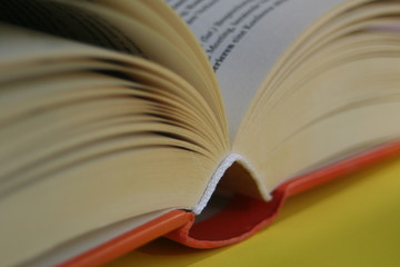 belesen