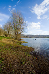 trees and a blue river under the blue sky and lovely landscape