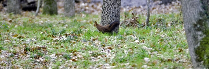 Obraz premium surpris par derrière