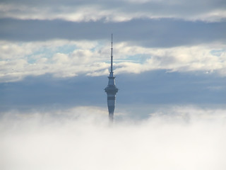 auckland sky tower protruding through fog
