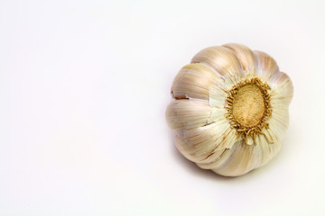 garlic-5