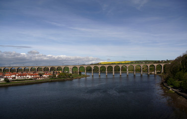Fototapeta na wymiar berwick most kolejowy