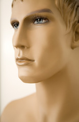 Fototapeta premium modell
