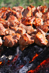 grilled meat