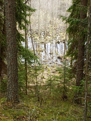 Obraz premium wildness landscape