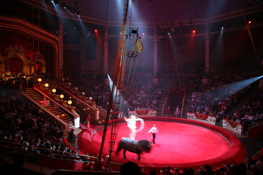 circus arena 4