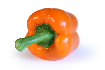 orange pepper