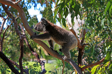 australien_07_0246