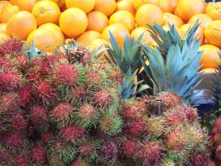 exotic fruits 5