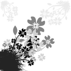 floral vector