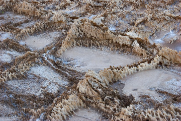 crystal patterns from salt