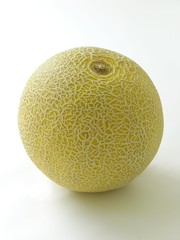 gold melon
