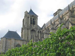 Fototapeta na wymiar katedry Saint Etienne z drzewa na pierwszym planie, Bourges fran