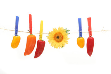 peppers on rope