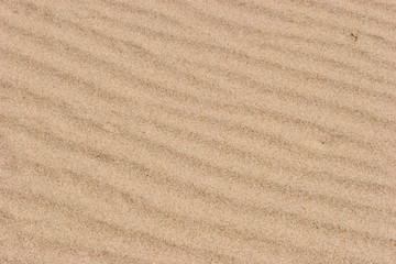 Fototapeta na wymiar rippled sand
