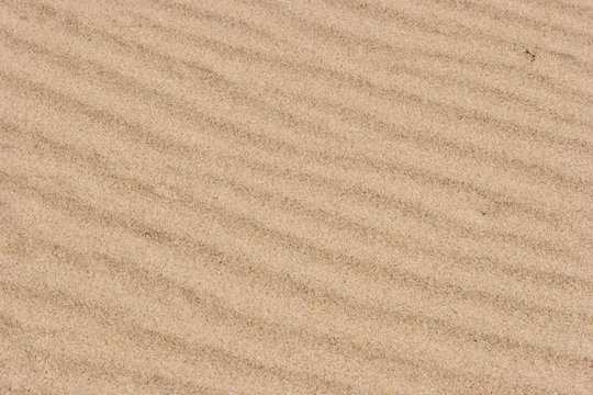rippled sand