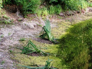 klimawandel