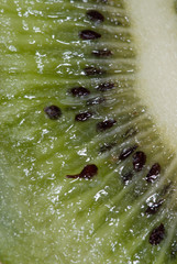 makro einer kiwi