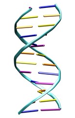 dna