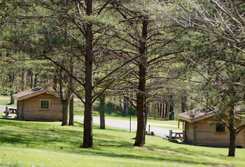 woodland cabins