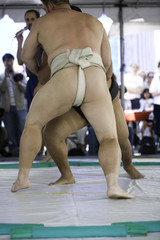 sumo wrestlers 5 - obrazy, fototapety, plakaty