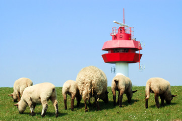 kleine schafherde vor einem funkfeuer