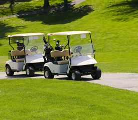 golf carts