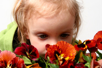 little gardener