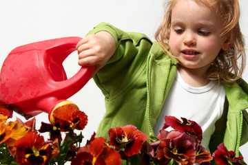little gardener