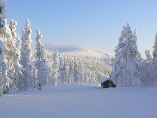 lapland © rich1
